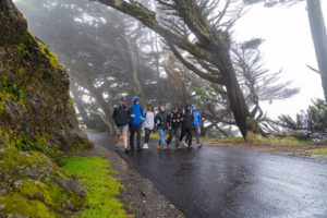Image of youth advocates walking through the Cypress Tree Tunnel together, linked arm in arm. 